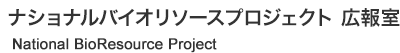 NBRP広報室